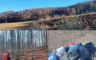 Tură 15 Ianuarie 2023